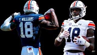 Auburn WR Seth Williams 2020 Highlights ᴴᴰ