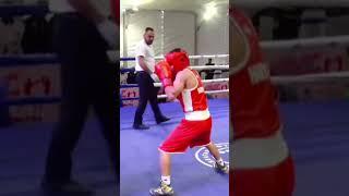 #knockoutpunch #knockout #miketysonpunchout #viral#growth #viral#ytshortsvideo