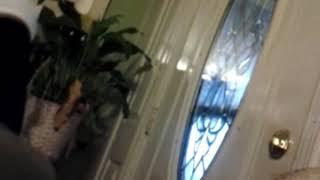 Avitube
