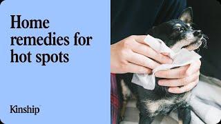 How to Treat Dog Hot Spots at Home