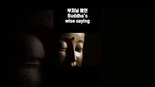 Buddha's wise saying/부처님명언 #명언 #buddha #부처님