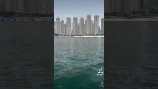 Дубай