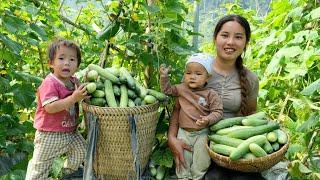 Harvest the melon garden and sell it at the market - go to the lake to trap fish with your children