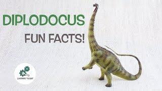 DIPLODOCUS FACTS! | Fun & Educational | Dinosaurs For Kids | Best Dinosaur Facts