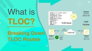 What is TLOC? | Breaking Down TLOC Routes, Color | TLOC in SD-WAN @PyNetLabs