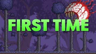 I Completely Underestimated Terraria...