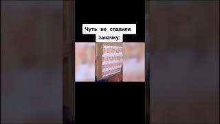 МЕМЫ - 1378