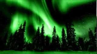 Wardruna Naudir