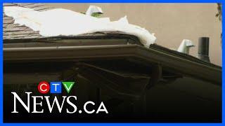 Lightning strikes home in community of West Hillhurst