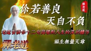 你若善良,天自不負,老道告訴你十二句真理對人生的深刻感悟.#人生道理 #人生感悟 #人生智慧 #佛學 #正能量 #禪語 #禪語錄 #老人言 #道家哲學 #道家思想 #禪老道 #人生哲理