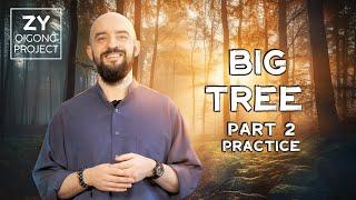 Zhong Yuan Qigong - How to do the Big Tree practice