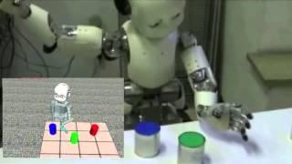 The Human Brain Project SP10: Neurorobotics
