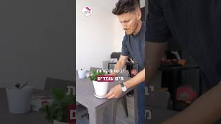 רוצים להפסיק  להתגרד כבר? ככה מדבירם יתושים