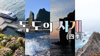 독도의 사계(四季)를 담다.  #K독도 #독도는우리땅 #독도재단
