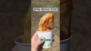 떡상한 대전 벚꽃명소