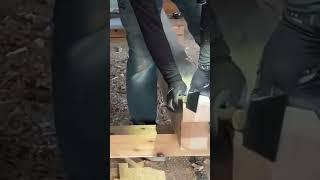 Japanese carpenter cutting a dovetail joint