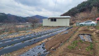 농막있는!!농장/570평 휴양하기 딱!!좋은 오지마을 산아래 청정지역 10년간 정성껏 각종유실수와 내땅에서 우리가족 건강한 밥상이..산물이 흐르는