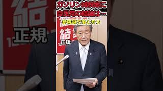 ガソリン減税案に自民党の出した結論は… #shorts #自民党 #ガソリン #減税 #参議院 #選挙 #投票