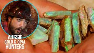 New Digger Grants The Young Guns Their Biggest Find Yet! | Outback Opal Hunters