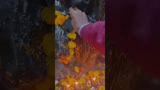 Divine Lord Shani Dev blessings #shanidev #shorts #शनिदेव #healerphoenix #god #divinepower