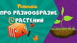 Развлечёба. Окружающий мир. Про разнообразие растений