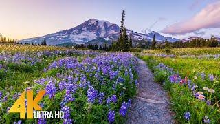 Pacific Northwest 4K - Beautiful Nature of Washington State - Leavenworth and Mt. Rainier - Part #3