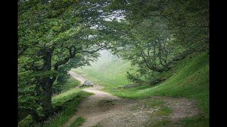 2023 Camino de Santiago - Saint Jean Pied de Port - Roncesvalles - Stage 1 (Small version)