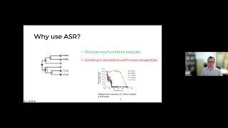 Engineering indel and substitution variants of diverse and ancient enzymes using GRASP