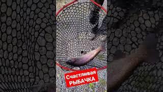 #fishing #youtubeshorts #youtubefishing #fishingtips