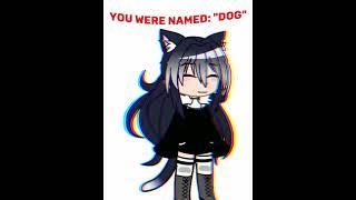 you were named: sorry for not having a video for a long time #gachaclub #gacha #shorts  #subscribe