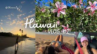 HAWAII VLOG 2  (Kolohe Kai CONCERT, Pillbox Hiking Trail, Waimea Falls, Giovanni's Shrimp Truck) 