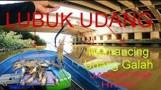 SERANGAN CAPIT KUNING⁉️ SUNGGUH ASYIKK.. MEMANCING UDANG GALAH SUNGAI MUO