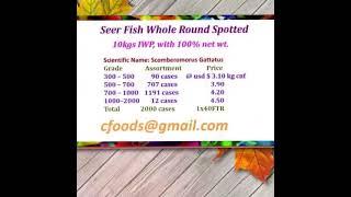  Seer Fish Spotted