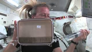 Space Seeds 2013: Day 0 - Watering