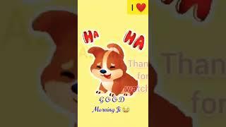 #funny | A2All |  I️
