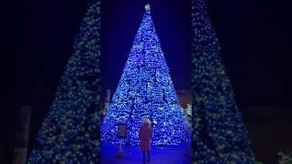 ️It’s the most wonderful time of the year  #chritsmastree #brookfieldzoo #yt #vlogswithsubbu