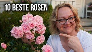 Die 10 BESTEN ROSEN für deinen Garten (Robust & Pflegeleicht)