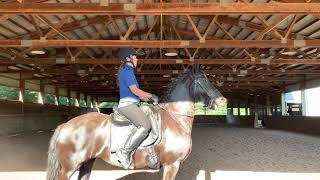 Lizann Dunegan & Marquesa WE Novice B