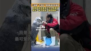 小海獺「下班後」幫飼養員收拾道具，還萌萌地主動幫工作人員捶背，網友：被可愛暈！理想職業+1#陸趣 #動物 #海洋館 #海獺