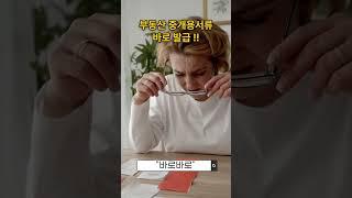 부동산 중개서류 5가지 바로 발급서비스!! 부동산 중개업소에 추천드립니다. #부동산창업 #부동산중개 #부동산경매 #부동산서류 #부동산중개업소 #부동산 #역세권투자 #모아타운