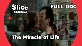 How Life Begins: The Miracle Unveiled | SLICE SCIENCE | FULL DOC