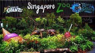 Singapore Zoo - Land of Giants