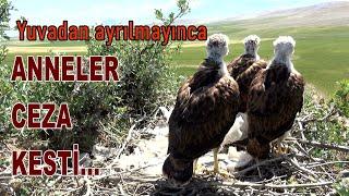 YUVADAN AYRILMAYINCA ANNELER CEZA KESTİ