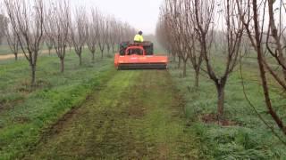 Guidolin Agrimac Tierre Leopard Mulcher