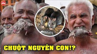 9 Món Ăn Kinh Dị Và Kỳ Lạ Nhất Ở CHÂU PHI Khiến Thế Giới Sốc Nặng | Top 10 Huyền Bí