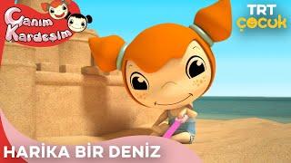 Canım Kardeşim - Harika Bir Deniz