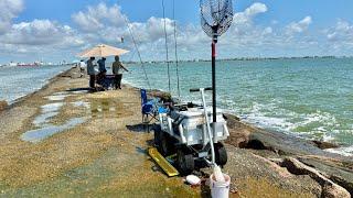 The jetty had a lightning bite for 30 minutes: Catching limits of fish for dinner