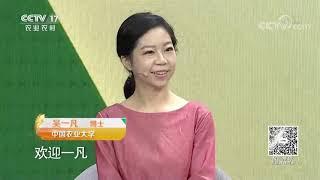 《大地讲堂》 20200920 科技扶贫——精准扶贫|CCTV农业