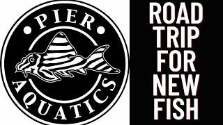 NEW FISH FROM PIER AQUATICS #pieraquatics #newfish #roadtrip