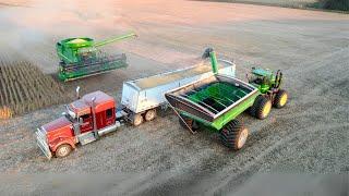 Harvesting Soybeans Till Nightfall